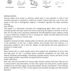 MOD'S – SHAMPOO INTENSIVO ANTI-CADUTA