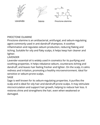 Bio Dandruff Shampoo- Organic  dandruff shampoo